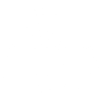 Skilled Hands